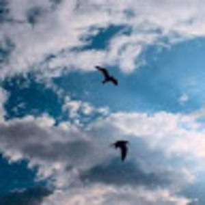 Meet your Posher, Cyd